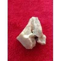 ราคา คตกรามช้าง ของดีหายาก มีมนต์ขลังในตัว ขลังมาก ทนสิทธิ์ ประกันแท้ (19684631845)