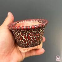 ราคา กระถางดินเผา ลายดินแตก 025 กระถางต้นไม้ ไม้อวบน้ำ กุหลาบหิน cactus succulentหลากหลายสายพันธุ์ (15133077948)