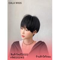 ราคา วิกผม วิกผมทรงใหม่ วิกผม2023 วิกผมเกาหลีทรงใหม่2023 สินค้าไหมด้านเหมือนจริงสวยตามภาพ100 ค่ะ งานแท้calawigs (17455083547)