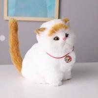 ราคา ตุ๊กตาน้องแมวมีเสียง ตุ๊กตาน้องแมว น้องแมวมีเสียง ตุ๊กตาแมวร้องเสียงเหมียวๆ น่ารักๆ ตุ๊กตาแมวเปอร์เซียจำลองน่ารักๆ WAS781 (20108077232)