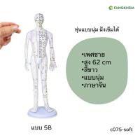 ราคา หุ่นจำลองจุดฝังเข็ม ขนาด 52 54 62cm หุ่นจำลองฝังเข็มได้ งานละเอียดพิเศษ Acupuncture Model By Fangkhem (20813476393)