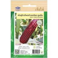 ราคา เมล็ดพันธุ์ ข้าวโพดข้าวเหนียว ซูพรีม ตราเจียไต๋ (20685462270)