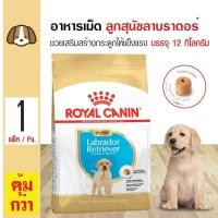 ราคา Royal Canin Labrador Puppy 12 Kg อาหารสุนัข ช่วยเสริมสร้างร่างกาย บำรุงขน สำหรับลูกสุนัขพันธุ์ลาบราดอร์ 12 กิโลกรัม กระสอบ (14636066241)