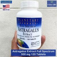 ราคา อึ้งคี้ Astragalus Extract Full Spectrum 500 mg 120 Tablets Planetary Herbals ปักคี้ หวงฉี (5974758041)