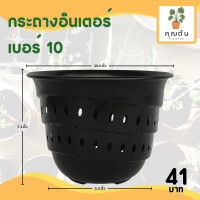 ราคา กระถางต้นไม้พลาสติก กระถางพลาสติก กระถางต้นไม้ สีดำ 9 นิ้ว 9 7 นิ้ว 10 นิ้ว (14601209511)