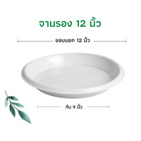 ราคา กระถาง air pot กระถางเร่งราก กระถางแอร์พอต กระถางมีรู กระถางปลูกกัญ กระถางต้นไม้เพิ่มราก (16211072229)