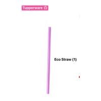 ราคา หลอดและแปรง Tupperware รุ่น Go Eco Straw Brush Set (21219988563)