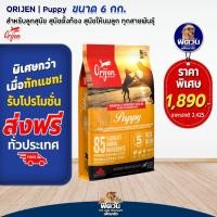 ราคา Orijen Puppy ลูกสุนัข2เดือน 1ปีทุกสายพันธ์ 6กก exp01 2024 (20904143160)
