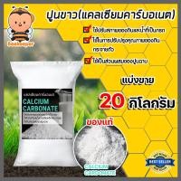 ราคา ปูนขาว มีให้เลือก 1 25 กิโลกรัม ปูนขาวปรับสภาพน้ำ ปูนขาวฆ่าเชื้อ แคลเซียม ไฮดรอกไซด์ Calcium Hydroxide ปูนขาวปรับสภาพดิน (18701698221)