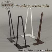 ราคา Tana DIY ขาโต๊ะเหล็ก รุ่น 2curve30 ความสูง 30 cm 1 ขา ทำขาเก้าอี้ ขาโต๊ะวางของ ขาโต๊ะโชว์ modern loft minimal (18692759899)