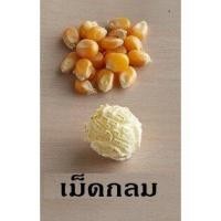ราคา เมล็ดข้าวโพด เมล็ดป๊อปคอร์น มี 2 พันธุ์ ให้เลือก เม็ดข้าวโพดป๊อปคอร์น เมล็ดข้าวโพด เมล็ดข้าวโพดป๊อปคอร์น ผงเขย่า popcorn ป๊อปคอร์น (12111976331)