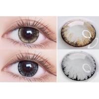 ราคา คอนแทคเลนส์ บิ๊กอาย รุ่น Tommy RARE สีเทา ตาล Gray Brown มีสายตาปกติ 0 00 เปลี่ยนแทนทุกเดือน (20566649917)