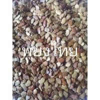 ราคา 100 เมล็ด เมล็ดพันธุ์ Garden Seeds พะยูงไทย Siamese Rosewoodไม้เนื้อแข็ง ไม้มงคล กระยูง กะยง ขะยุง ขะยูง พยุง พะยูง แดงจีน ประดู่ลาย ประดู่เสน (8455564069)