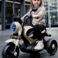 ราคา รถแบตฮาเล่ คลาสสิคสุดๆ ฮาเล่ พ่วงข้าง (21122301384)