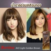 ราคา A24 A43 Berina Hair Color Cream 60ml เบอริน่า ครีมย้อมผม 47 เฉดสี 60กรัม (9091647522)