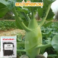 ราคา คะน้าหอม คะน้า เมล็ดพันธุ์ คะน้าเห็ดหอม ปลูกง่าย โตเร็ว บรรจุ 200 เมล็ด 10 แถม 1 คละได้ (20771699874)