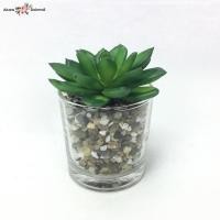 ราคา แคคตัสปลอม กุหลาบหินปลอมพร้อมกระถางแก้ว (4454366726)
