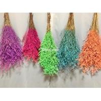 ราคา ดอกแคสเปียร์ ช่อดอกไม้แห้ง แคสเปียร์ย้อมสี แคสเปีย Caspia ดอกไม้แห้ง ดอกไม้ย้อมสี ของแต่งบ้าน พร้อมส่ง (17407663648)