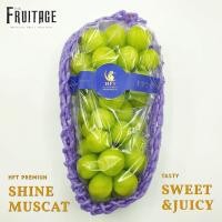 ราคา องุ่นไชน์มัสแคท 1ช่อ Shine Muscat Grape KOR CHN 샤인 무스카트 ลดพิเศษ ส่งฟรีแช่เย็น องุ่นเขียวไร้เมล็ด ไร้เม็ด องุ่นไชน์มัสคัส ตรานกแก้ว HFT (12266177063)