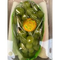 ราคา องุ่น องุ่นไซมัสคัส หวาน กรอบ อร่อย ซื้อทานเอง ซื้อฝากคนทางบ้าน (21019222828)