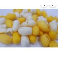 ราคา 12 รัง เคล็ดลับหน้าใสของคนญี่ปุ่น รังไหมขัดผิว รังไหมธรรมชาติ โปรตีนซิลค์ สาวไหมด้วยมือทุกรัง (19056981092)