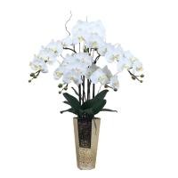ราคา แจกันดอกไม้ประดิษฐ์ตกแต่งบ้านขนาดใหญ่ ดอกกล้วยไม้สีขาวจัดพร้อมแจกันแก้วทรงสูง (21053474981)