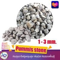 ราคา พัมมิส หินภูเขาไฟ รองพื้นตู้ Pummis stone 1 Kg (15010967317)