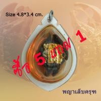 ราคา พญาเล็บครุฑ เล็บครุฑ พญาครุฑ มหาอำนาจ ตัวผู้ ตัวเมีย แช่น้ำมันจันทร์ กระจับเงิน กระจับทอง (8088087488)