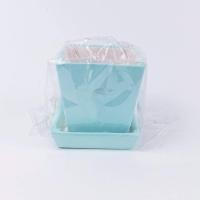 ราคา กระถางดินเผา 2 5 นิ้ว ลายการ์ตูนจิ๋ว กระถางกระบองเพชร กระถางต้นไม้ กระถางต้นไม้เล็กๆ กระถางดินเผา (1520062792)