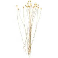 ราคา PickEgg 20pcs Flower Reed Diffuser Stick Diffuser Refills Essential Oil Diffuser Stick (19455589086)