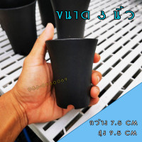 ราคา กระถางปากแตร ทรงสูง 3 นิ้ว 3 5 นิ้ว 4 นิ้ว (6193596214)