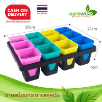 ราคา ถาดหลุมแคคตัส ถาดหลุมปลูกผัก ถาดเพาะ ถาดหลุม 7 นิ้ว สีดำ (4664602862)