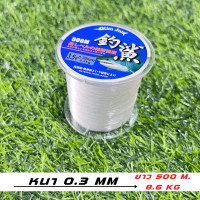 ราคา สายเอ็นตกปลา สายตกปลาไนล่อนใส ยาว 300 500M สำหรับน้ำทะเลน้ำจืดเอ็นตกปลา สายตกปลาไนล่อน ที่ทนทาน แข็งแรงมา (20954035861)