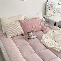 ราคา toppper ที่นอนท็อปเปอร์ ขนาด 3 5ฟุต 5ฟุต 6ฟุต เบาะรองนอนท๊อปเปอร์เดินลาย ตาราง หนา 4 นิ้ว ใย2 ชั้น (20313317297)