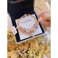 ราคา Pandora ของแท้100 เงินแท้พร้อมcharmsส่งเป็นของขวัญให้แฟนหรือเนื่องในโอกาสวันเกิด (13005331253)