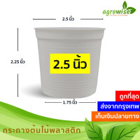 ราคา กระถาง กระถางปลูกต้นไม้ กระถางต้นไม้พลาสติก กระบองเพชร กระถางขาว 2 5 นิ้ว สีขาว สีดำ 50 ใบ (18462210320)