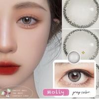 ราคา COD คอนแทคเลนส์พริตตี้ดอล Pretty doll Contact Lens รุ่น Molly ค่าสายตา ปกติ สี Gray brown 0 00 6 00 (7747835139)