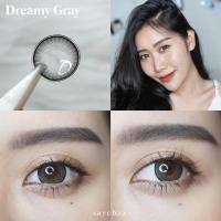 ราคา คอนแทคเลนส์ Dreamy Brown Gray Kitty Kawaii ขนาดบิ๊กอาย (18707802947)