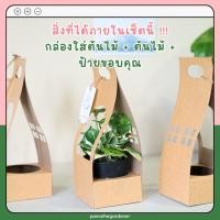 ราคา ต้นไม้ ของขวัญ Set ของชำร่วย ของขวัญ งานแต่ง ต้นไม้พร้อมกล่องกระดาษหูหิ้ว (20942769397)