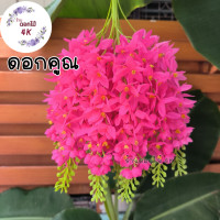 ราคา ดอกคูณ ดอกไม้ปลอม 10ช่อ ดอกคูณขาว เหลืองดอกคูณ ช่อดอกไม้ปลอม ดอกไม้ประดิษฐ์ ดอกราชพฤกษ์ ช่อราชพฤกษ์ ร้านดอกไม้ราชพฤกษ์ (20906352079)