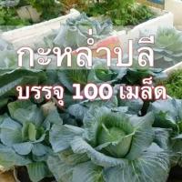 ราคา เมล็ด พันธุ์ กะหล่ำปลีดอย กะหล่ำปลีเบา กะหล่ำปลีกลม 100 เมล็ด (15520066447)