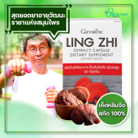 ราคา กิฟฟารีน เห็ดหลินจือสกัด ชนิดแคปซูล เห็ดหลินจือสีแดง สมุนไพร เห็ดหลินจือ เห็ดหลินจือมิน เห็ดหลินจือแคป ออแกนิค เห็ดหลินจือแดงสกัด (18284836096)
