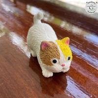 ราคา แมวยืดหดได้ ตุ๊กตาน้องแมว แมวยืด ของเล่น fidget แมวยืดได้ ของเล่นบีบ ส่งไว ของเล่นคลายเครียด สกุชชี่แมว ตุ๊กตาบีบแมว แมวบีบ (14510350522)