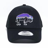 ราคา Patagonia หมวกผู้ชายและผู้หญิงหมวกเบสบอลเกาหลี (15364384814)