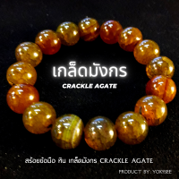 ราคา Yok5see สร้อยข้อมือ หิน เกล็ดมังกร 8 14 มม สร้อยข้อมือหิน กำไลหิน กำไลข้อมือ กำไลข้อมือหิน หินแท้ หินนำโชค สร้อยหิน หินเกล็ดมังกร Crackle Agate stone (16159155363)