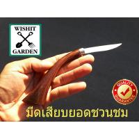 ราคา มีดเสียบยอดชวนชม มีดเสียบกิ่งชวนชม มีดตัดชวนชม มีดชวนชม มีสำหรับทำชวนชมไม้ดอกไม้ประดับ แต่งกิ่งต้นไม้แต่งสวน คนรักต้นไม้ต้องมีค (9275389858)