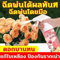 ราคา ฉีดพ่นได้ผลทันที ปุ๋ยเร่งดอกผล ฉีดพ่นโดยมือ ปุ๋ยใส่กุหลาบ แก้ใบเหลือง ป้องกันรากเน่า สเปรย์บำรุงกุหลาบ rose เร่งดอก และอยู่ได้นาน ปุ๋ยกุหลาบ เสริมปุ๋ยไนโตรเจน ฟอสฟอรัส และโพแทสเซียมอย่างรวดเร็ว สารละล