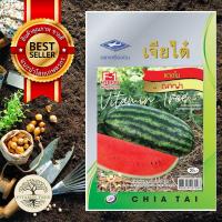 ราคา เมล็ดพันธุ์ แตง โมญาญ่า 1กรัม เมล็ด ต้นไม้ เมล็ดผัก เมล็ดดอกไม้ ดอกไม้ ผัก ผักสวนครัว สลัด เมล็ดพันธุ์พืช (10038807123)
