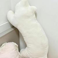 ราคา Yohei หมอนอิงโซฟา หมอนรูปแมว รูปตุ๊กตาแมวน่ารัก ลายทางยาว ของขวัญวันเกิด (20084155864)