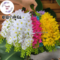 ราคา ดอกคูณ ดอกไม้ปลอม 10ช่อ ดอกคูณขาว เหลืองดอกคูณ ช่อดอกไม้ปลอม ดอกไม้ประดิษฐ์ ดอกราชพฤกษ์ ช่อราชพฤกษ์ ร้านดอกไม้ราชพฤกษ์ (20906352071)